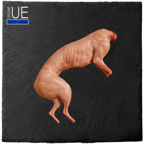 LAPIN HALAL