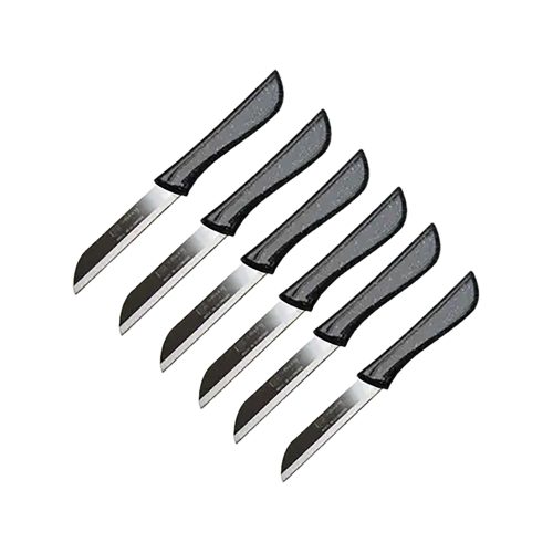 COUTEAUX A FRUITS ROLAND 6PCS