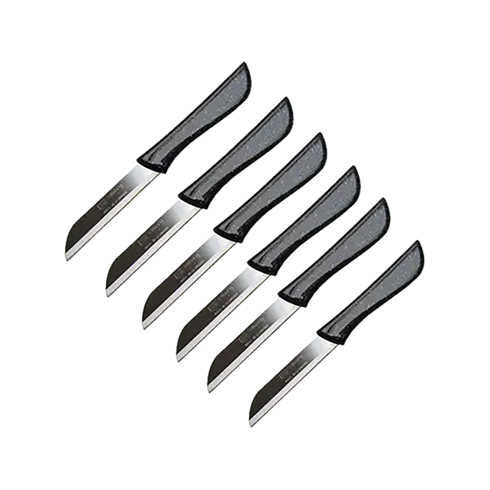 COUTEAUX A FRUITS ROLAND 6PCS