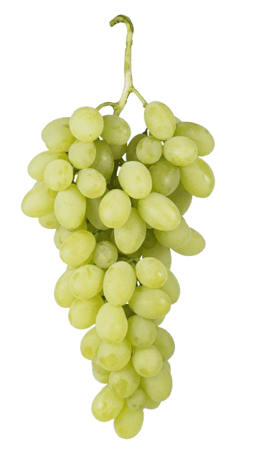Raisin Blanc