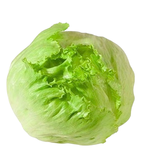 Iceberg
